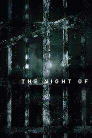 The Night Of: Season 1